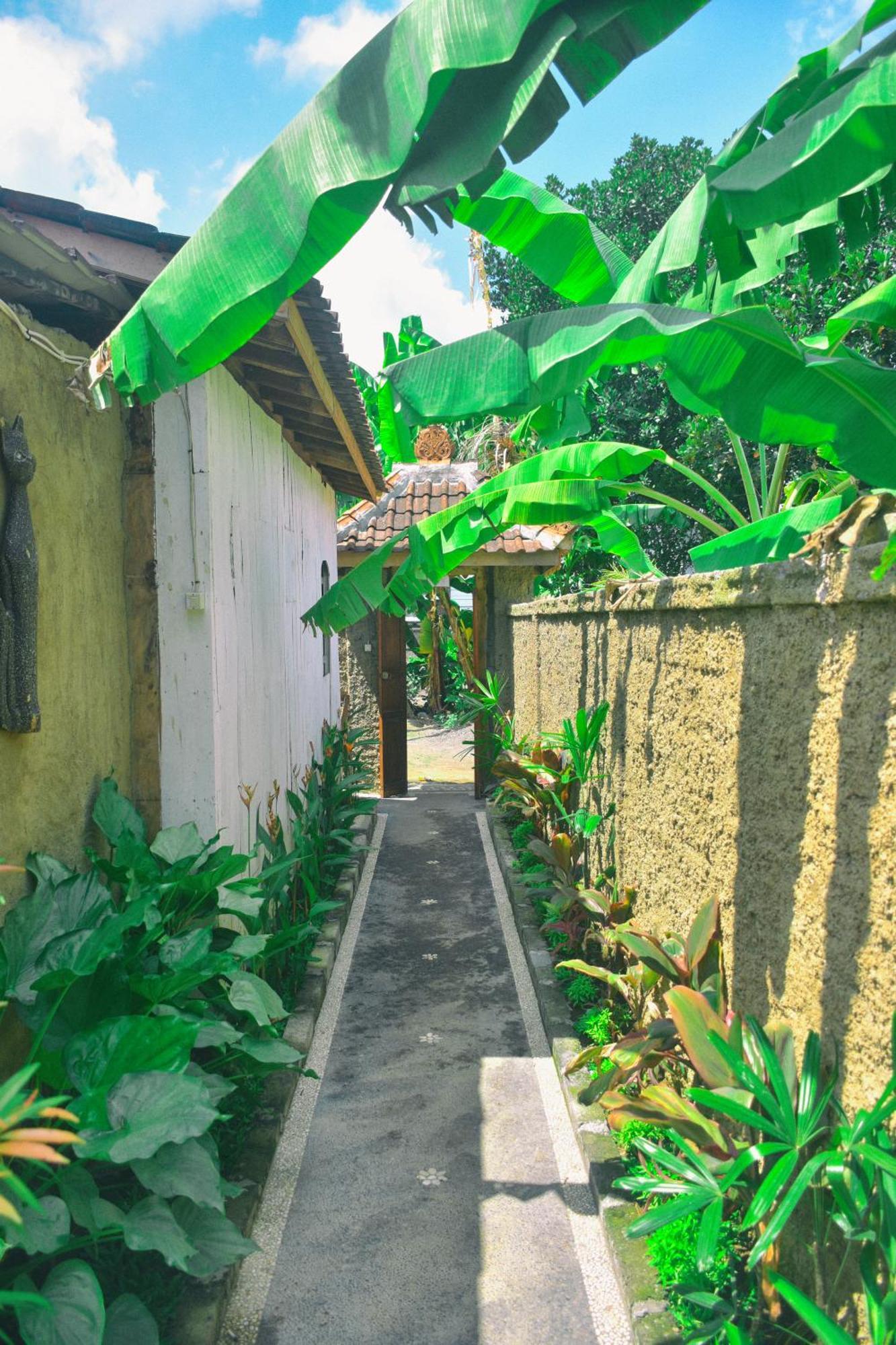 Ume Sita Villa And Homestay Ubud  Luaran gambar